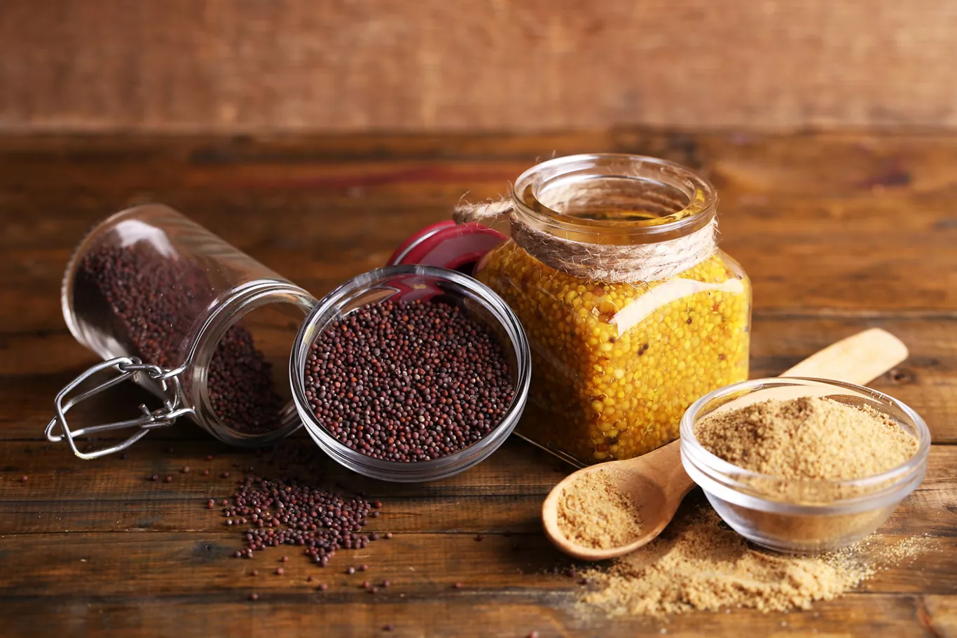 graine_moutarde_currycoco